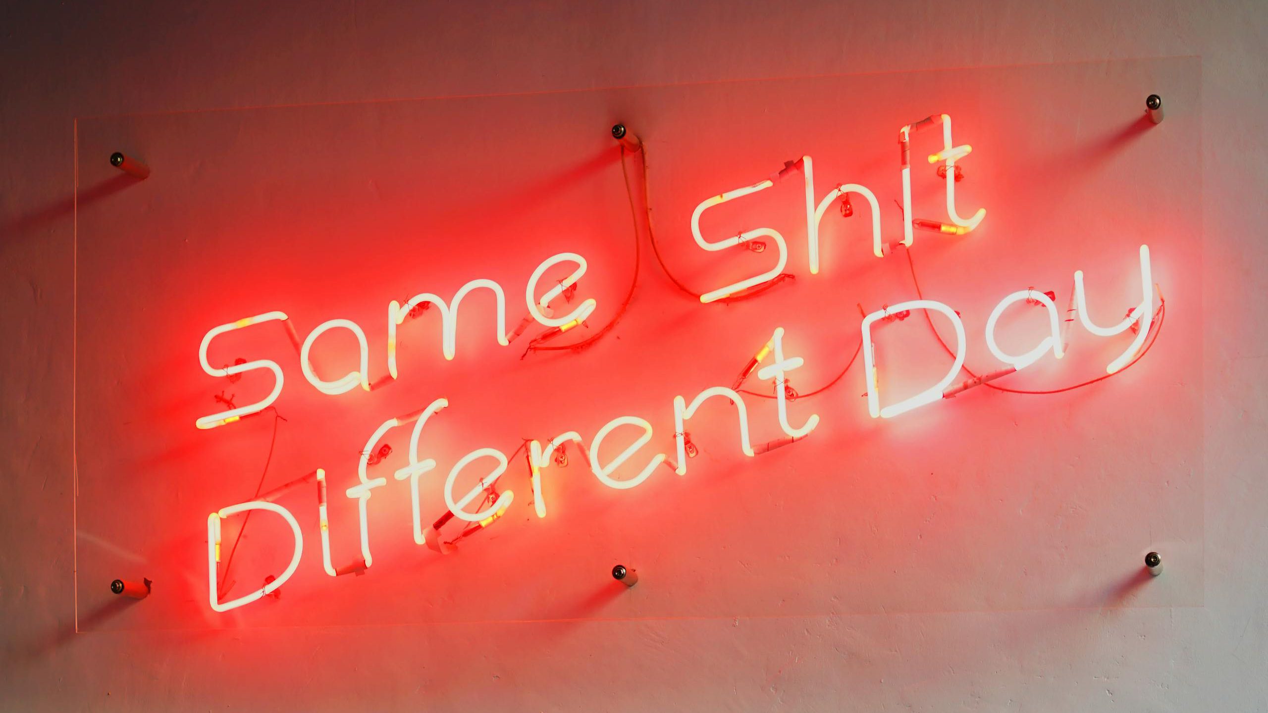 Red neon sign displaying a humorous quote, perfect for modern interiors and unique decor